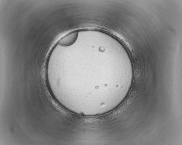 X0000115631421200912081034