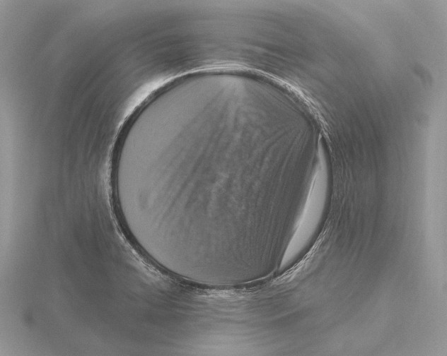 X0000115631422200912081034