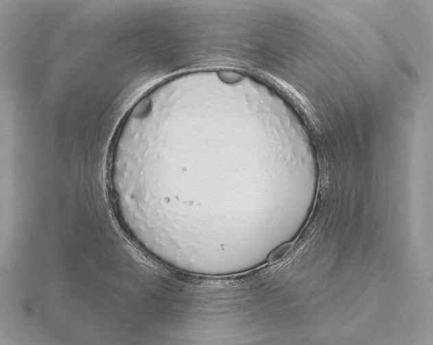 X0000115631423200912081034