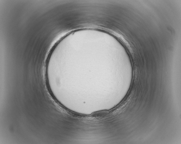 X0000115631424200912081034