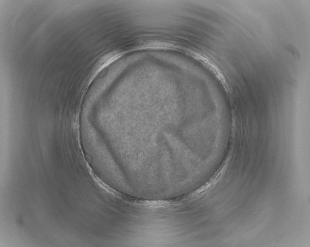 X0000115631425200912081034