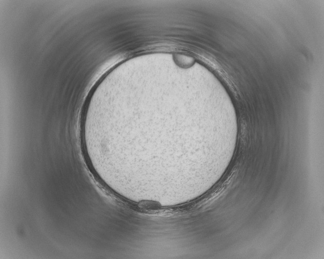 X0000115631426200912081034