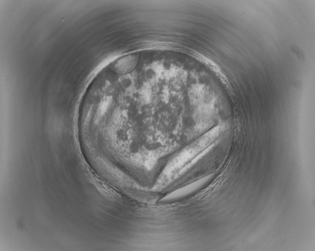 X0000115631427200912081034