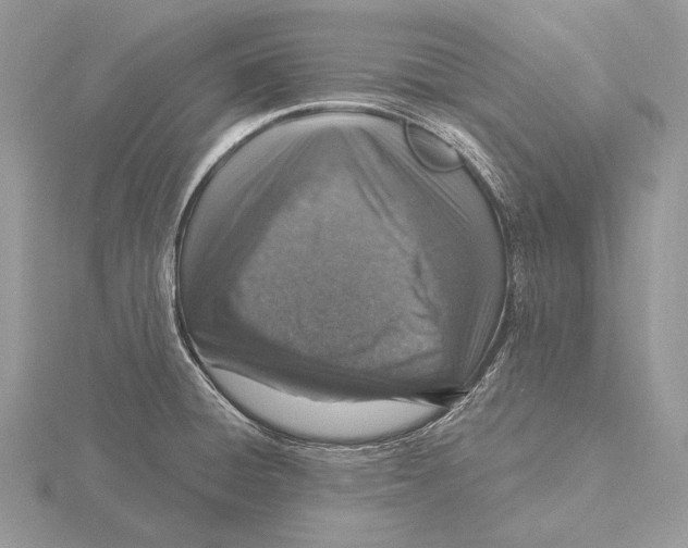 X0000115631428200912081034