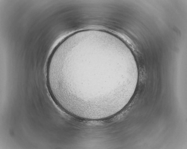 X0000115631430200912081034