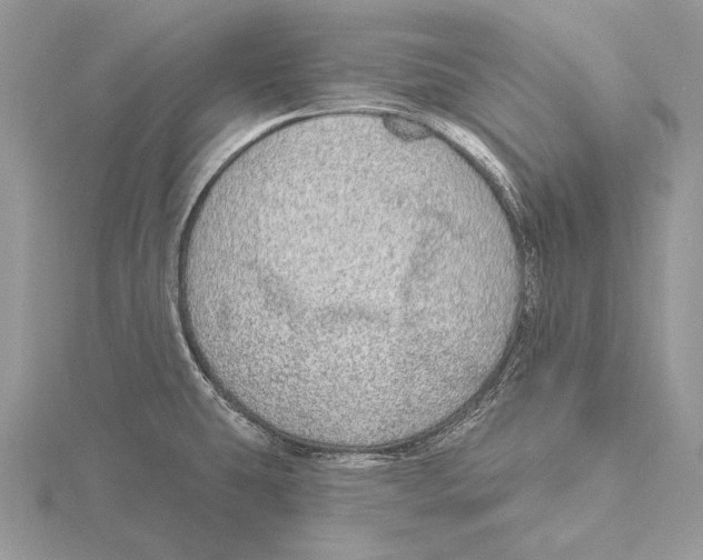 X0000115631431200912081034