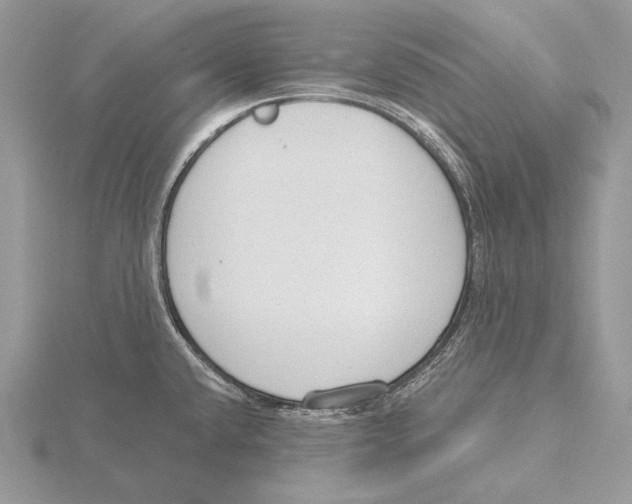 X0000115631432200912081034