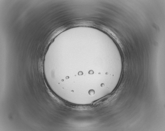 X0000115631433200912081034