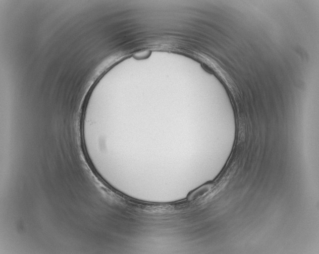 X0000115631434200912081034