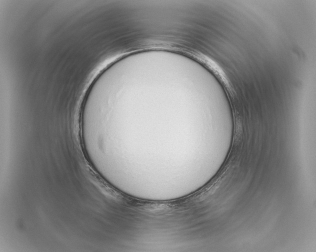 X0000115631435200912081034