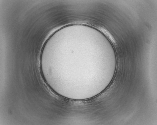 X0000115631436200912081034