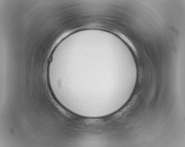 X0000115631437200912081034