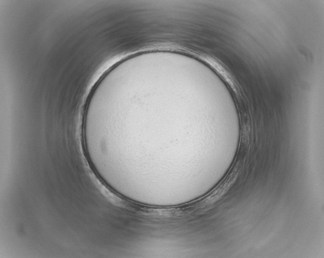 X0000115631438200912081034