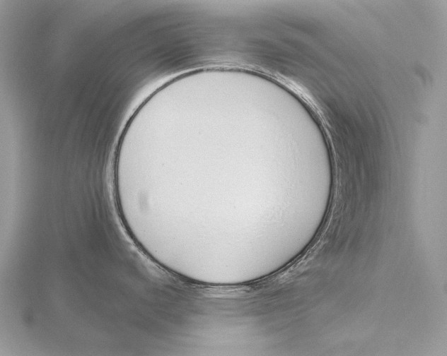 X0000115631440200912081034