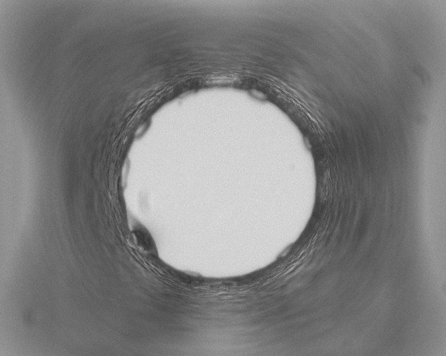 X0000115631441200912081034