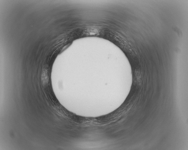 X0000115631442200912081034