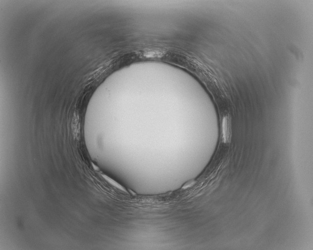 X0000115631443200912081034