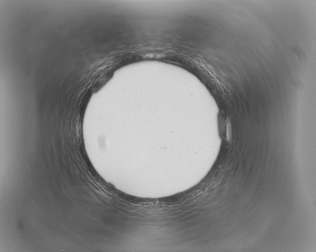 X0000115631444200912081034