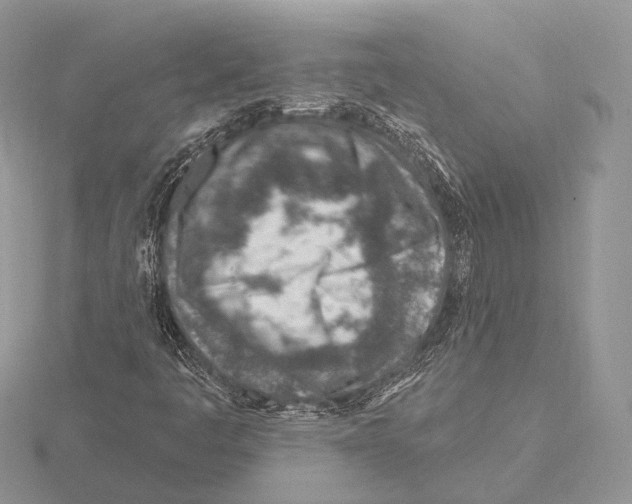 X0000115631445200912081034