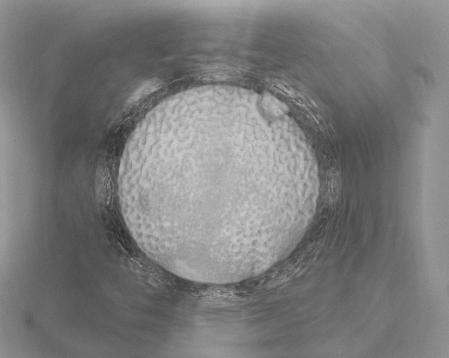 X0000115631446200912081034