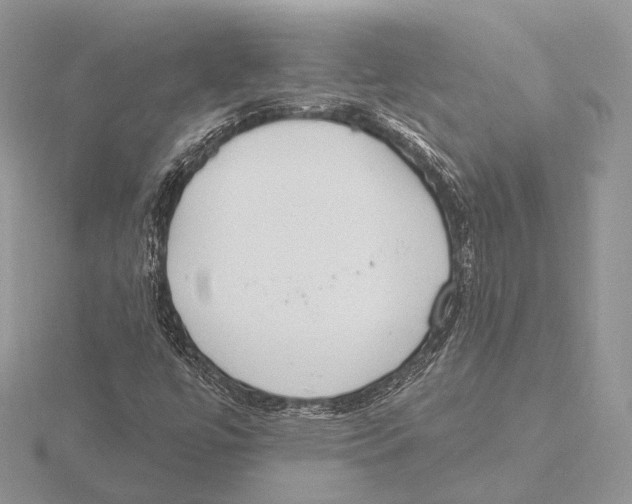 X0000115631447200912081034