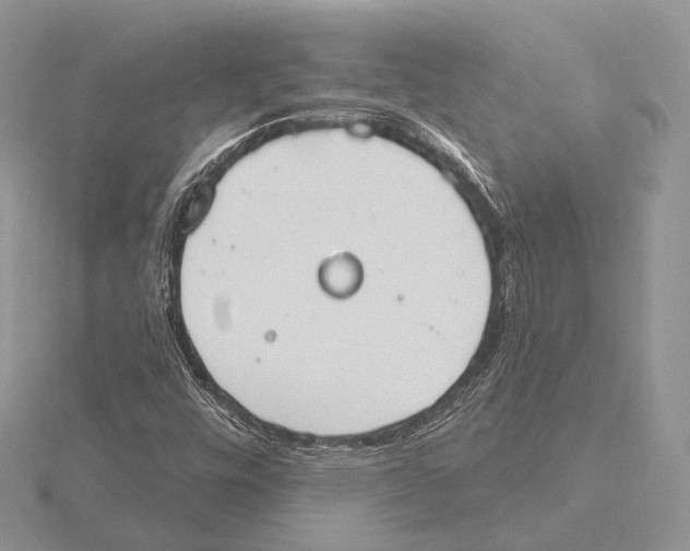 X0000115631448200912081034