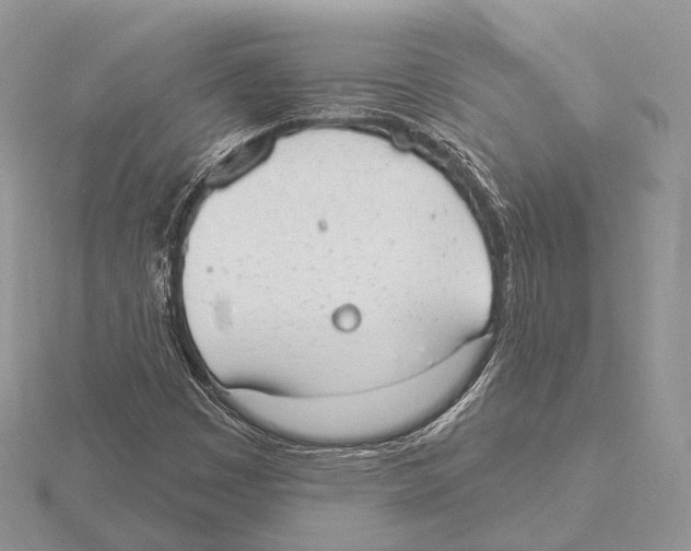 X0000115631449200912081034