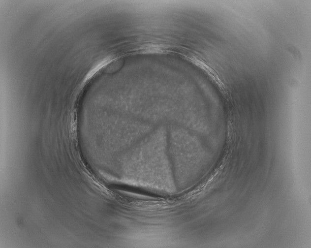 X0000115631450200912081034