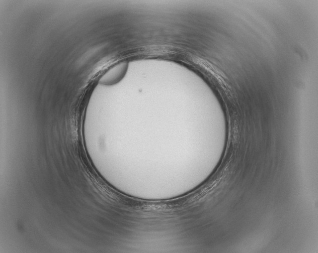 X0000115631451200912081033