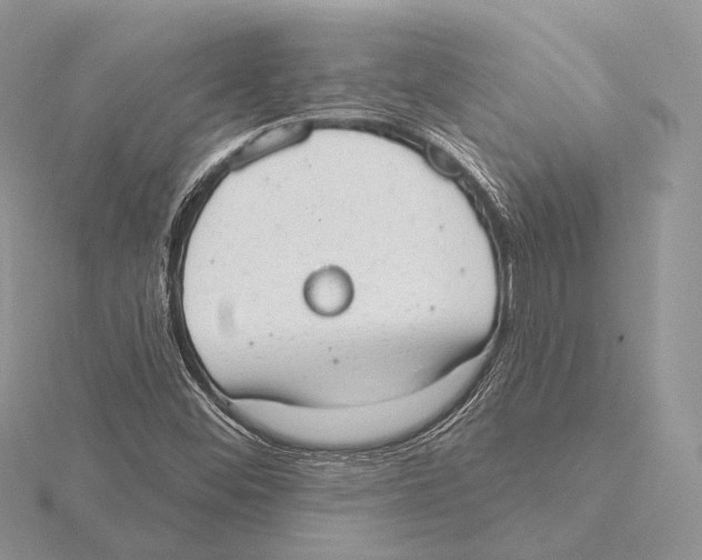 X0000115631452200912081033