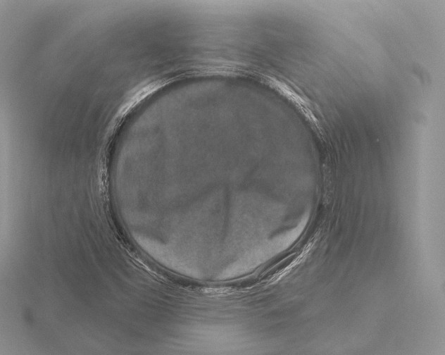 X0000115631453200912081033