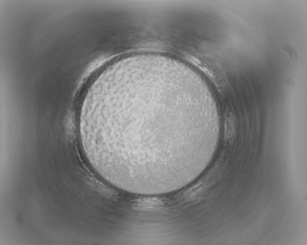 X0000115631454200912081033