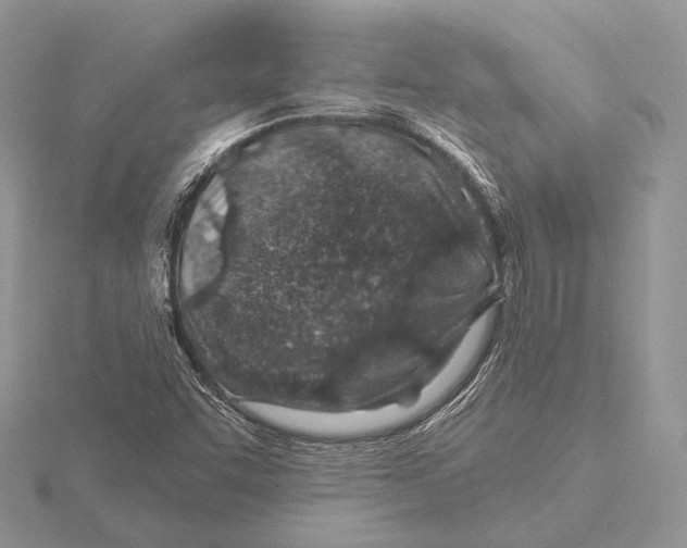 X0000115631455200912081033