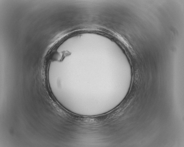 X0000115631456200912081033