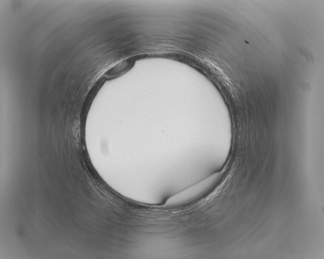 X0000115631457200912081033