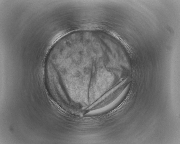 X0000115631459200912081033