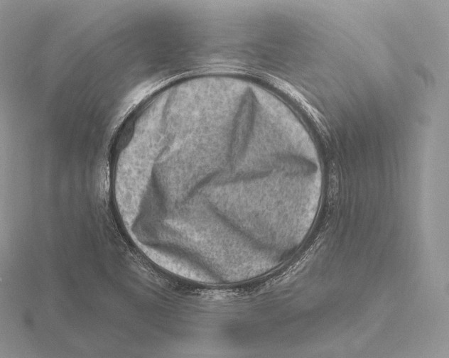 X0000115631461200912081033