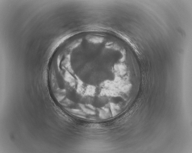 X0000115631463200912081033