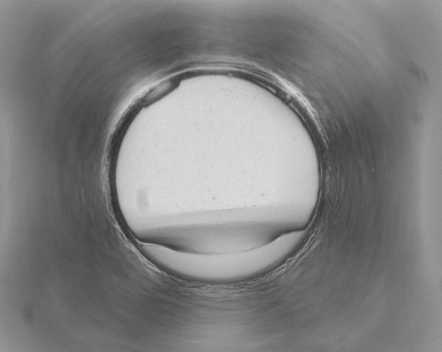 X0000115631464200912081033