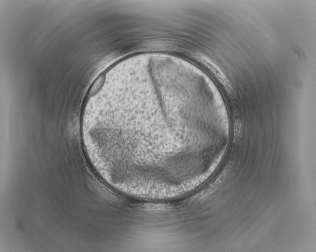 X0000115631465200912081033