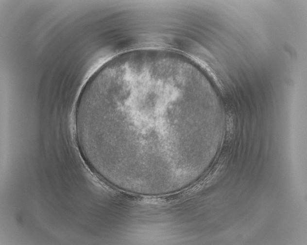 X0000115631466200912081033