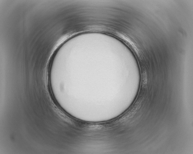 X0000115631467200912081033