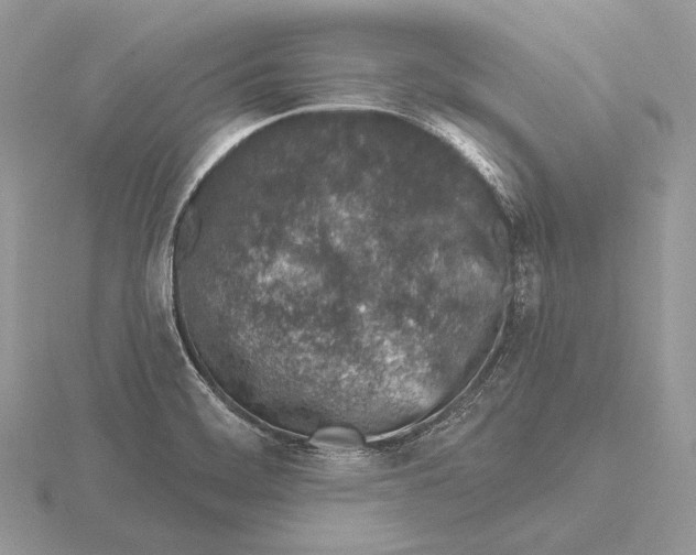 X0000115631468200912081033