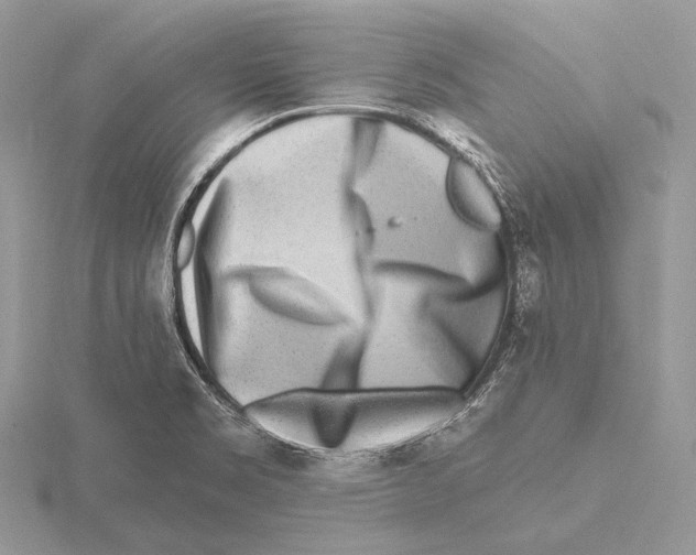 X0000115631469200912081033