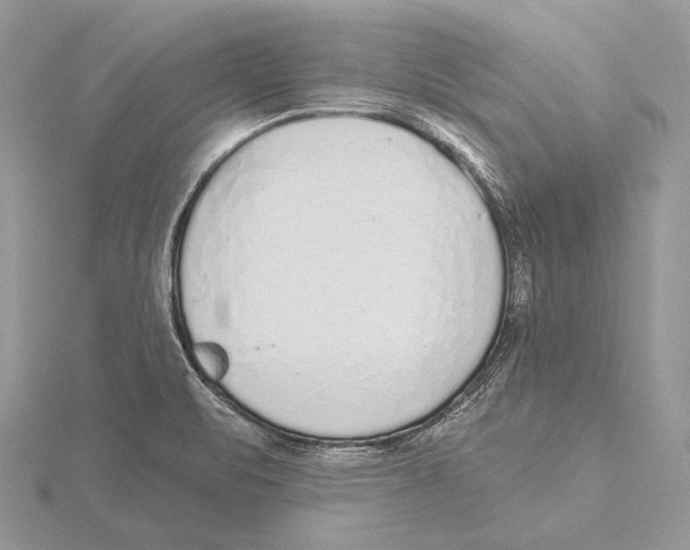 X0000115631471200912081033