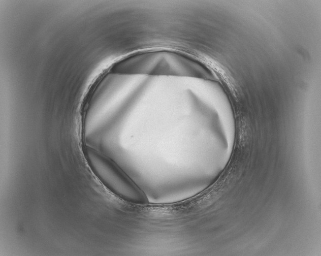 X0000115631472200912081033