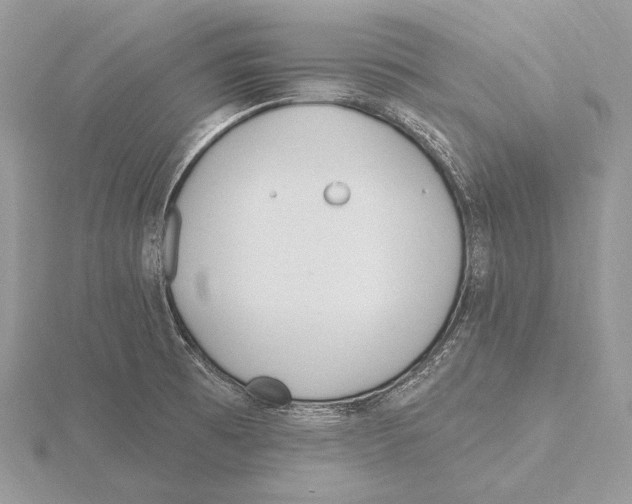 X0000115631473200912081033