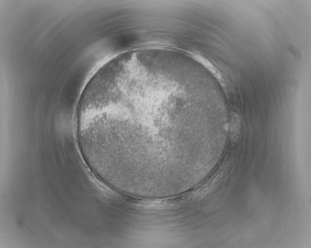 X0000115631474200912081033