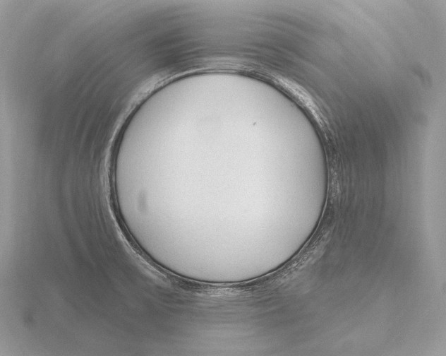 X0000115631475200912081033