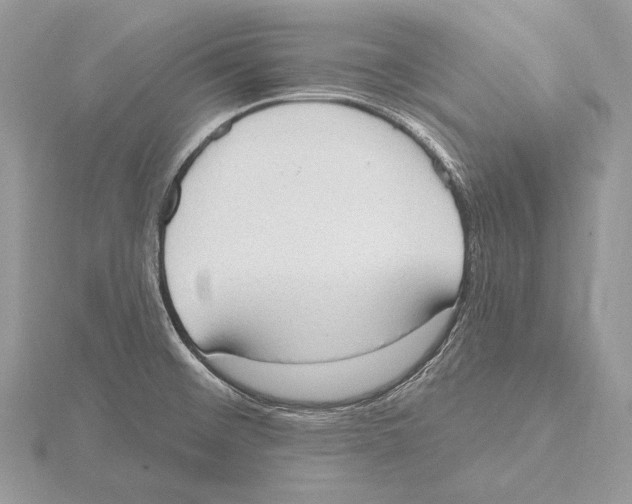 X0000115631476200912081033